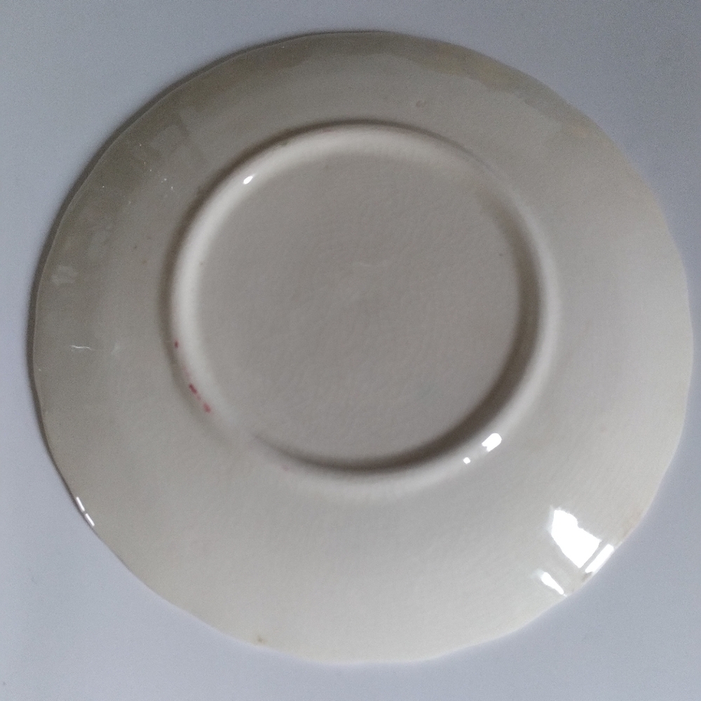BLUE RIDGE PLATE - Picture 2 of 2